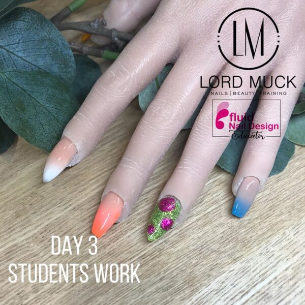 Lord Muck Professional - Beginners Acrylic Fundamentals & Electric File Course & Kit - Image 33