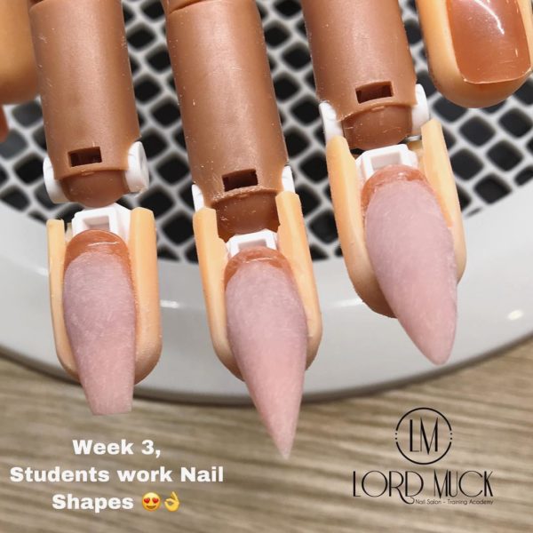 Lord Muck Professional - Beginners Acrylic Fundamentals & Electric File Course & Kit - Image 9